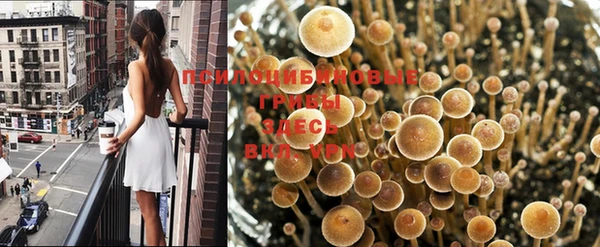 МДМА Абинск