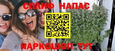 твердый Гай