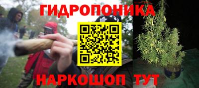твердый Гай