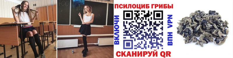 наркошоп  Кандалакша  мега ССЫЛКА  Галлюциногенные грибы Psilocybe 