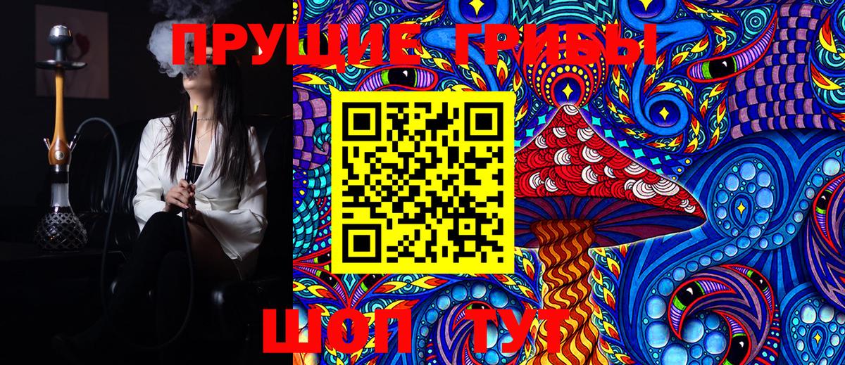 Псилоцибиновые грибы Cubensis Кандалакша