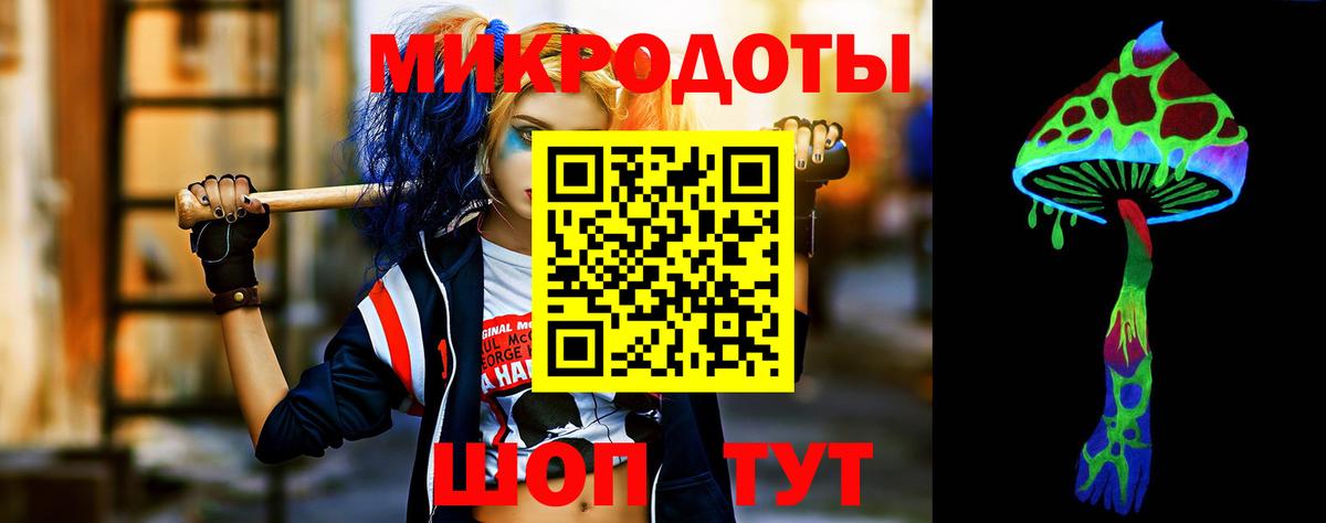 Галлюциногенные грибы Psilocybine cubensis  Вход с VPN  Кандалакша 